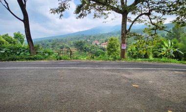 Prigen. Pasuruan. Dayurejo. Komersial area