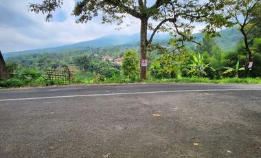 Prigen. Pasuruan. Dayurejo. Komersial area