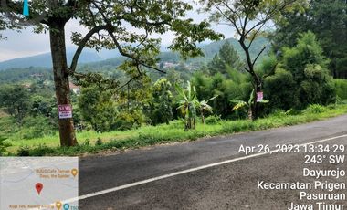 Prigen. Pasuruan. Dayurejo. Komersial area