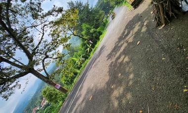 Prigen. Pasuruan. Dayurejo. Komersial area