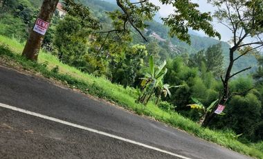 Prigen. Pasuruan. Dayurejo. Komersial area