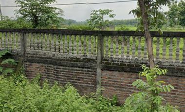 Lahan usaha 1 HA harga 8 Milyar hanya 46 menit dari kota Lamongan