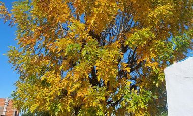 Hermoso Chalet en Barrio Los Alamos