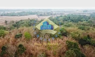 Jual Tanah di Mekarsari, Jl. Raya Maja, Rangkasbitung - Lebak