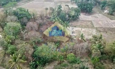 Jual Tanah di Mekarsari, Jl. Raya Maja, Rangkasbitung - Lebak