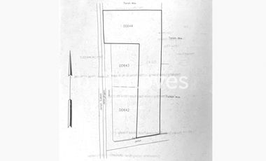 Rumah Satu Kamar Tidur Dengan Halaman Yang Luas Di Sanur