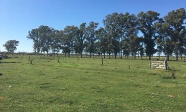 Fraccion en San Vicente a metros de la Ruta 6