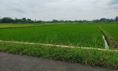 Dijual Tanah depan Perumahan Indrayani Mangunan Mertoyudan Magelang