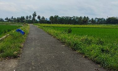 Dijual Tanah depan Perumahan Indrayani Mangunan Mertoyudan Magelang