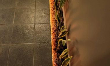 Di Jual Cepat 2 Rumah dempet di Cluster Fleekhauz BSD