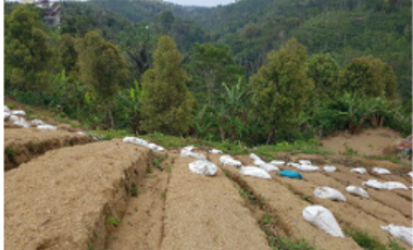 Tanah view gunung dan laut di kintamani