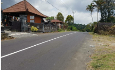Tanah view gunung dan laut di kintamani