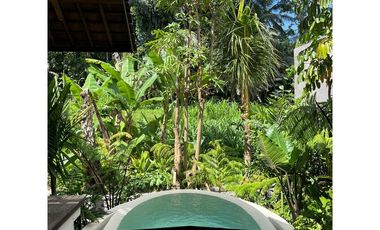 Dijual 2 unit Villa HAVEN BY THE RIVER – UBUD