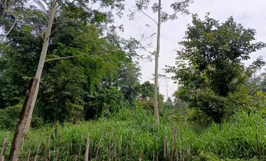 Dijual Murah Rumah + Tanah Sawah Sepaket  di Cangkringan  Sleman