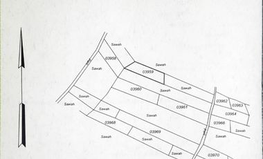 Dijual Murah Rumah + Tanah Sawah Sepaket  di Cangkringan  Sleman