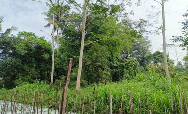 Dijual Murah Rumah + Tanah Sawah Sepaket  di Cangkringan  Sleman