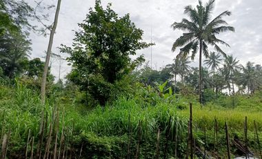 Dijual Murah Rumah + Tanah Sawah Sepaket  di Cangkringan  Sleman