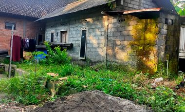 Dijual Murah Rumah + Tanah Sawah Sepaket  di Cangkringan  Sleman