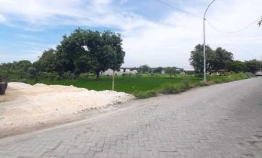 Tanah murah Jl. Raya Banjarsari Manyar Gresik Dijual cpt B.U Poll SHM