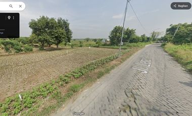 Tanah murah Jl. Raya Banjarsari Manyar Gresik Dijual cpt B.U Poll SHM