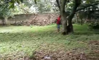 Tanah SHM Pinggir Jl raya Limo Depok dekat PINTU TOL BSD & Antasari