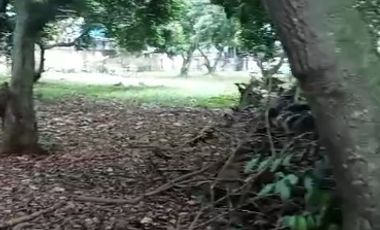 Tanah SHM Pinggir Jl raya Limo Depok dekat PINTU TOL BSD & Antasari