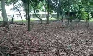 Tanah SHM Pinggir Jl raya Limo Depok dekat PINTU TOL BSD & Antasari