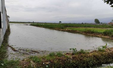 LAHAN KOMERSIAL DI RANCAEKEK MANTAP BOSSKU