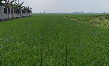 LAHAN KOMERSIAL DI RANCAEKEK MANTAP BOSSKU