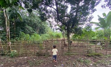 Tanah dijual di Bumi Ciujung Makmur, Muara Ciujung Timur, Lebak, Banten