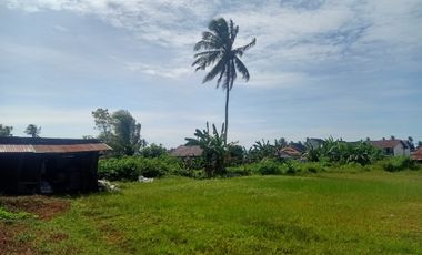 Disewakan tanah 1,6 ha lebar 54m datar pinggir jalan poros Lamaru