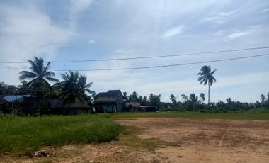 Disewakan tanah 1,6 ha lebar 54m datar pinggir jalan poros Lamaru