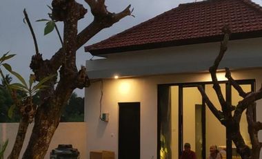 Dijual Villa Baru di Central Lovina, Buleleng, Bali