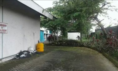 DI JUAL PABRIK MINUMAN TEH BOTOL KEMASAN AKTIF WISATA PACET