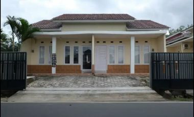 Penginapan 16 kamar Pangkal Pinang Kacang Pedang