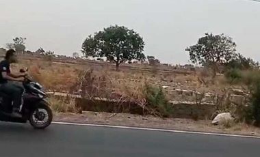 Tanah sawah 20 HA harga 800 ribu permeter di Cerme, Kabupaten Gresik