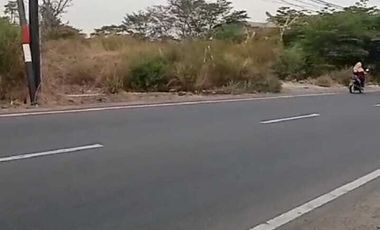 Tanah sawah 20 HA harga 800 ribu permeter di Cerme, Kabupaten Gresik