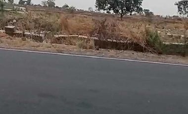 Tanah sawah 20 HA harga 800 ribu permeter di Cerme, Kabupaten Gresik