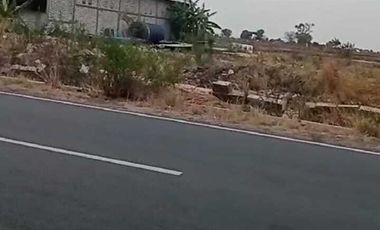 Tanah sawah 20 HA harga 800 ribu permeter di Cerme, Kabupaten Gresik