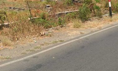 Tanah sawah 20 HA harga 800 ribu permeter di Cerme, Kabupaten Gresik