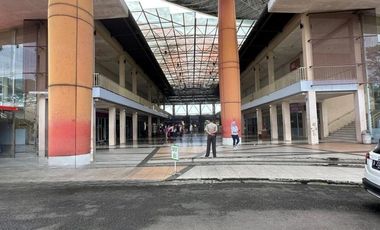 The Jungle Mall Bogor