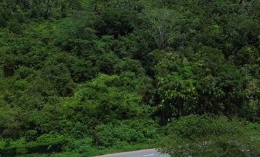 Di jual tanah Tepi Jalan Raya Sungai Kakap Pal 9