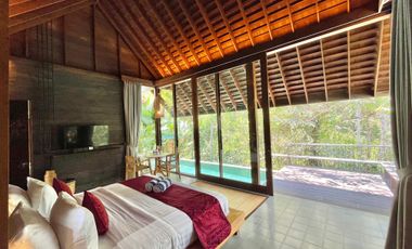 1 Bedroom Villa in Ubud With Jungle And River View