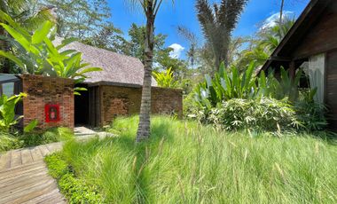 1 Bedroom Villa in Ubud With Jungle And River View