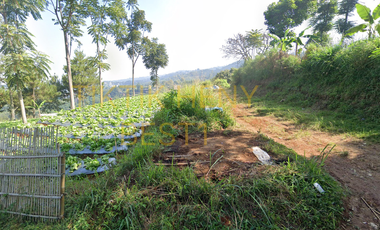 Tanah Luas dan lebar, Dekat Dago Giri View– Bandung