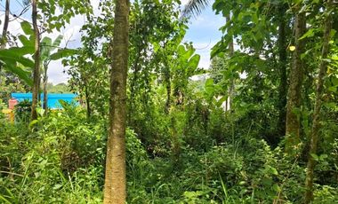 Dijual Lahan di Bandung Barat.Pinggir jalan Cipeundey Cikalong.