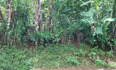 Dijual Lahan di Bandung Barat.Pinggir jalan Cipeundey Cikalong.