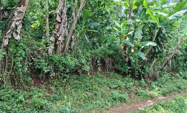 Dijual Lahan di Bandung Barat.Pinggir jalan Cipeundey Cikalong.