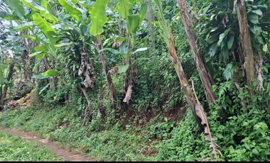 Dijual Lahan di Bandung Barat.Pinggir jalan Cipeundey Cikalong.