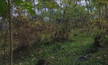 Dijual Lahan di Bandung Barat.Pinggir jalan Cipeundey Cikalong.